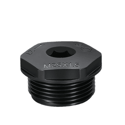 Hex Socket Plug